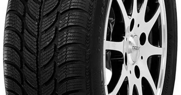 Outlet | 195/65 R15 DEBICA 91T FRIGO 2- MS 3PMSF (E-4.6)