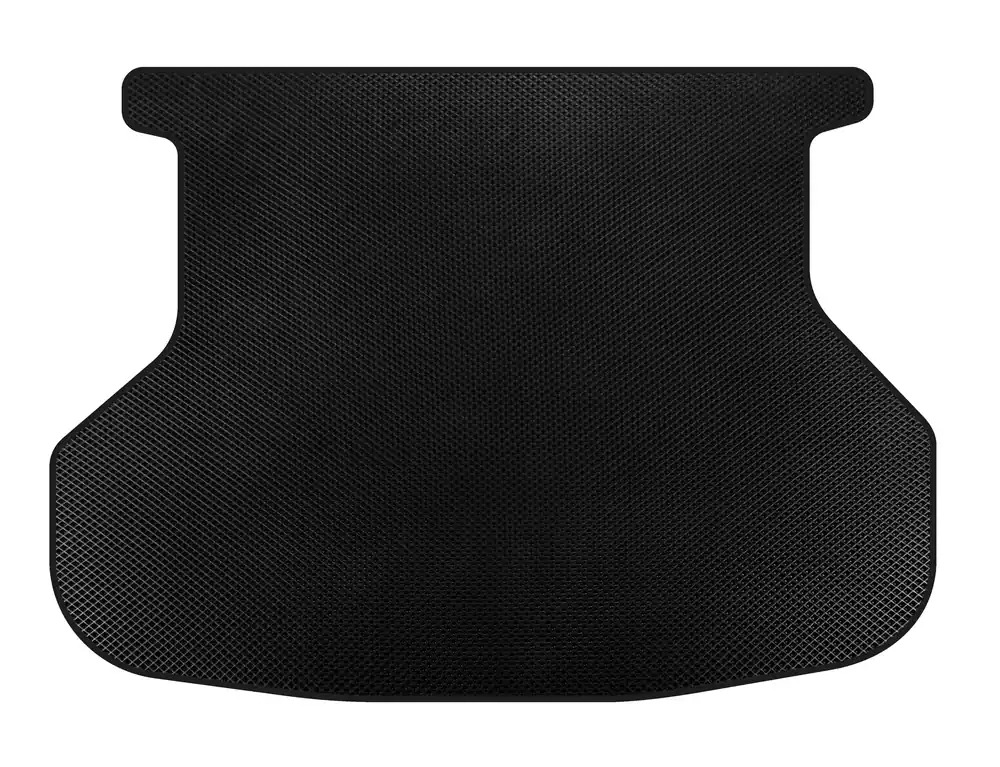 Outlet | Lexus RX 2003-2009 Covoras portbagaj EVA (Negru)